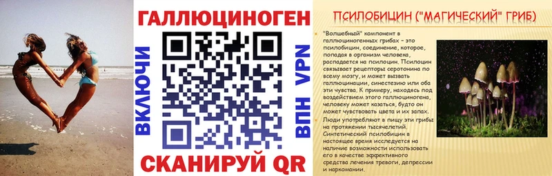 закладки Луховицы Галлюциногенные грибы Psilocybine cubensis