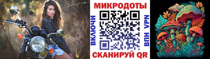Псилоцибиновые грибы Psilocybine cubensis Луховицы